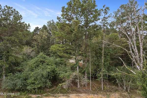 6 Acres of Land for Sale in Richton, Mississippi