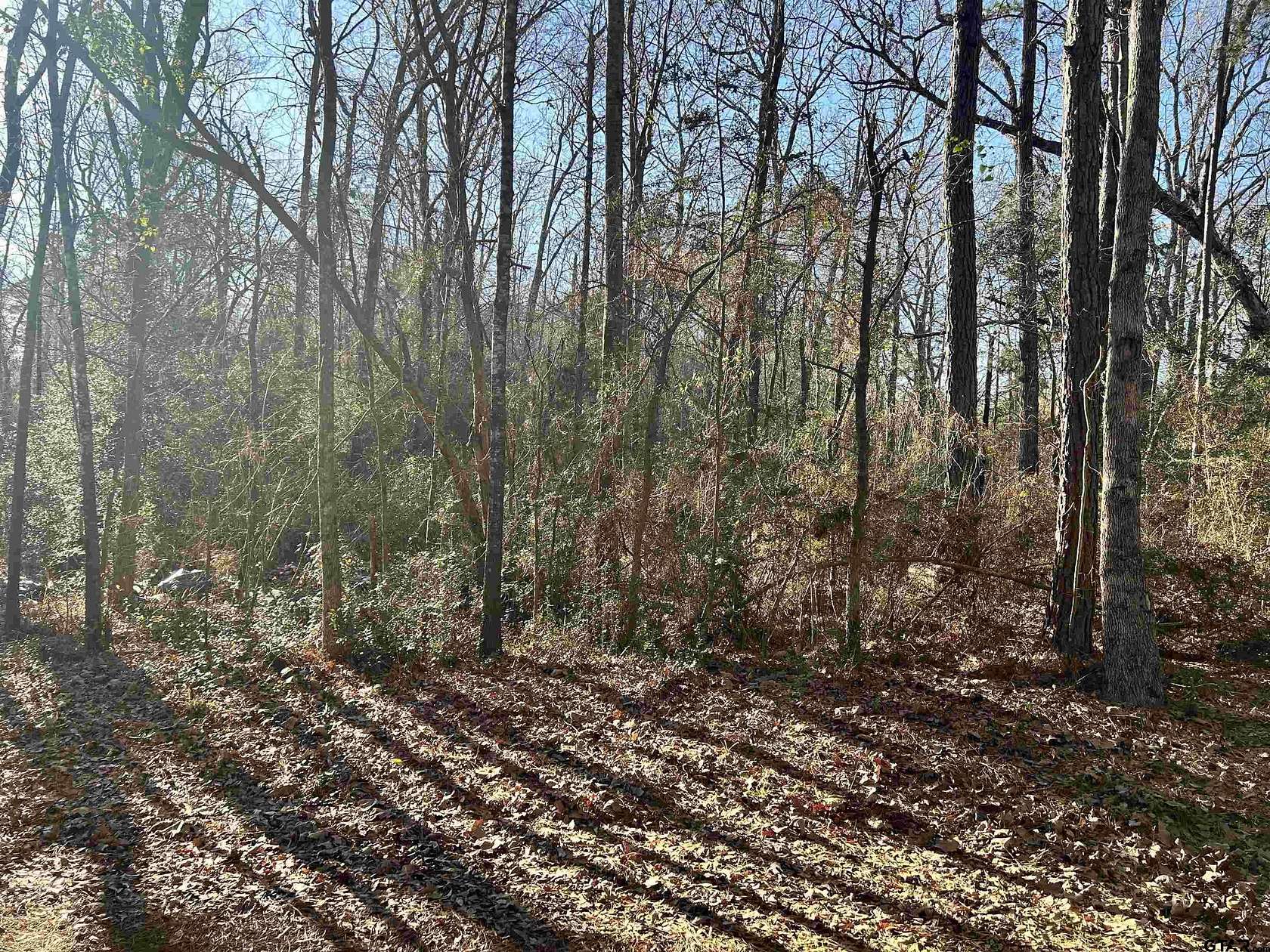 18 Acres of Recreational Land for Sale in Mount Enterprise, Texas