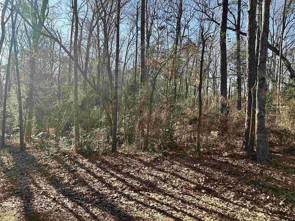 18 Acres of Recreational Land for Sale in Mount Enterprise, Texas