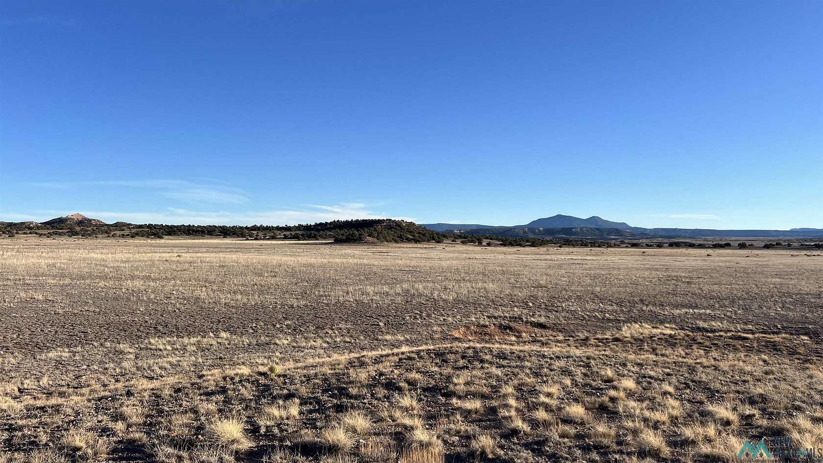66.1 Acres of Recreational Land & Farm for Sale in Quemado, New Mexico