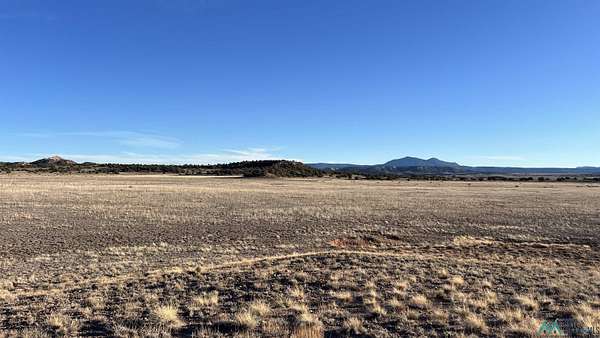 66.1 Acres of Recreational Land & Farm for Sale in Quemado, New Mexico