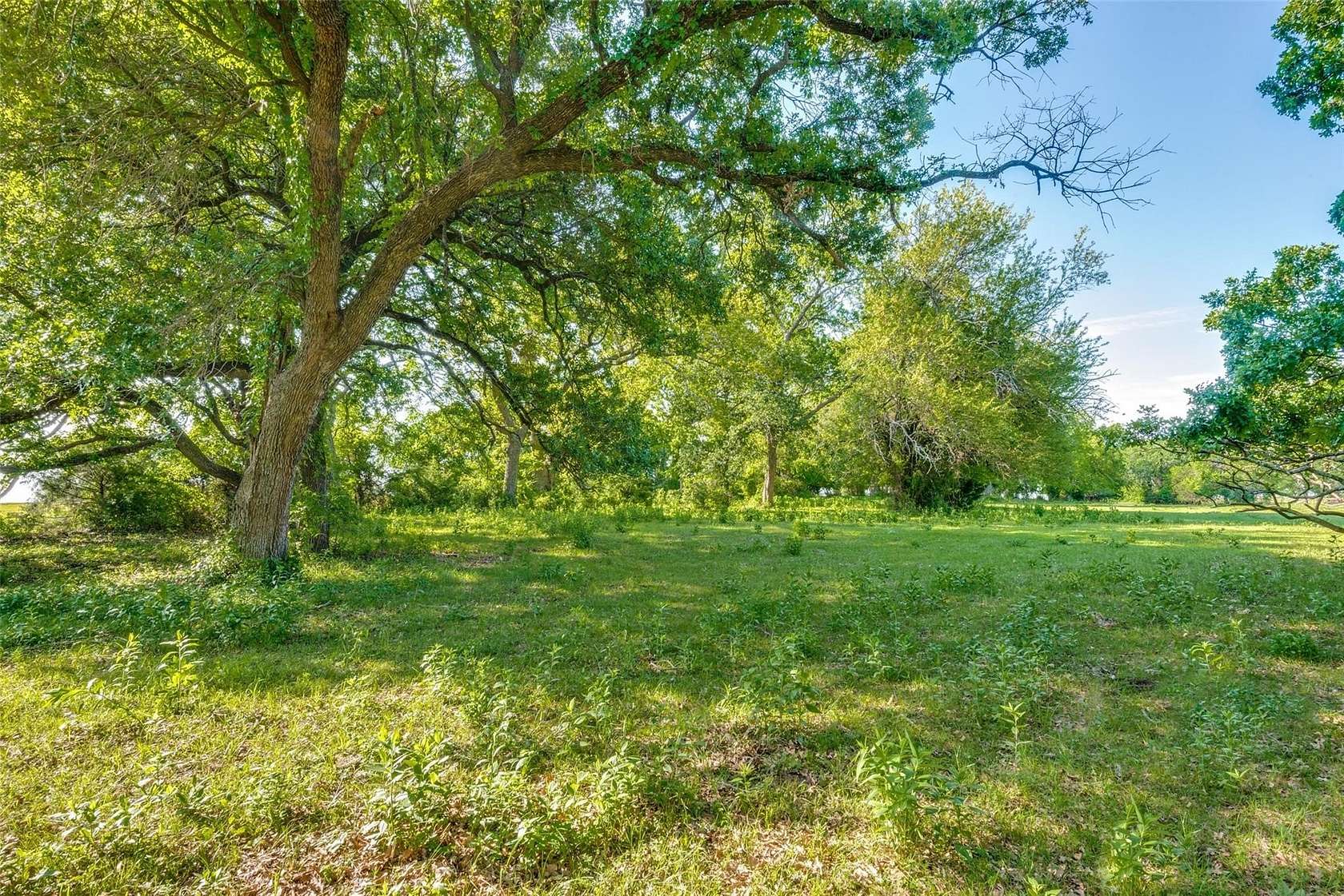 61.9 Acres of Agricultural Land for Sale in Pilot Point, Texas