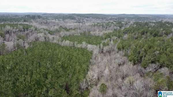 80 Acres of Recreational & Residential Land for Sale in Pinson, Alabama