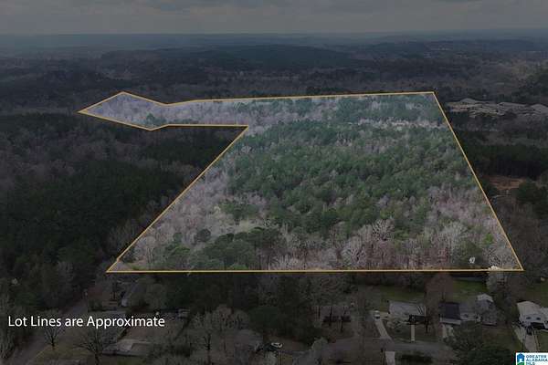 80 Acres of Land for Sale in Pinson, Alabama