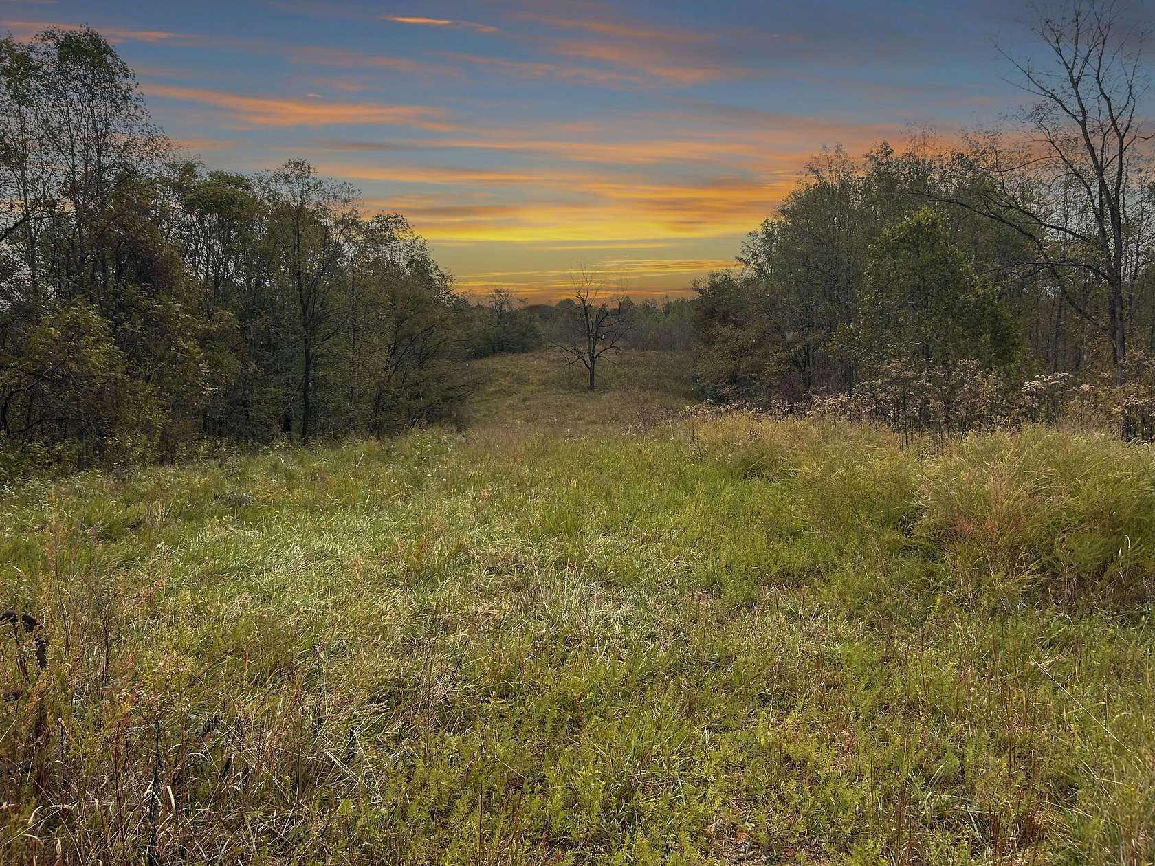53 Acres of Recreational Land for Sale in Bethpage, Tennessee