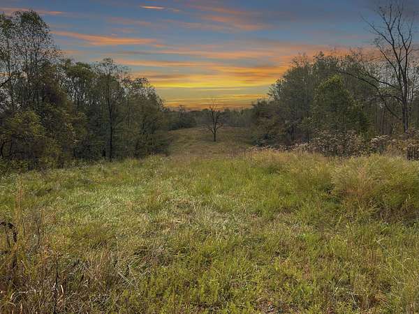 53 Acres of Recreational Land for Sale in Bethpage, Tennessee