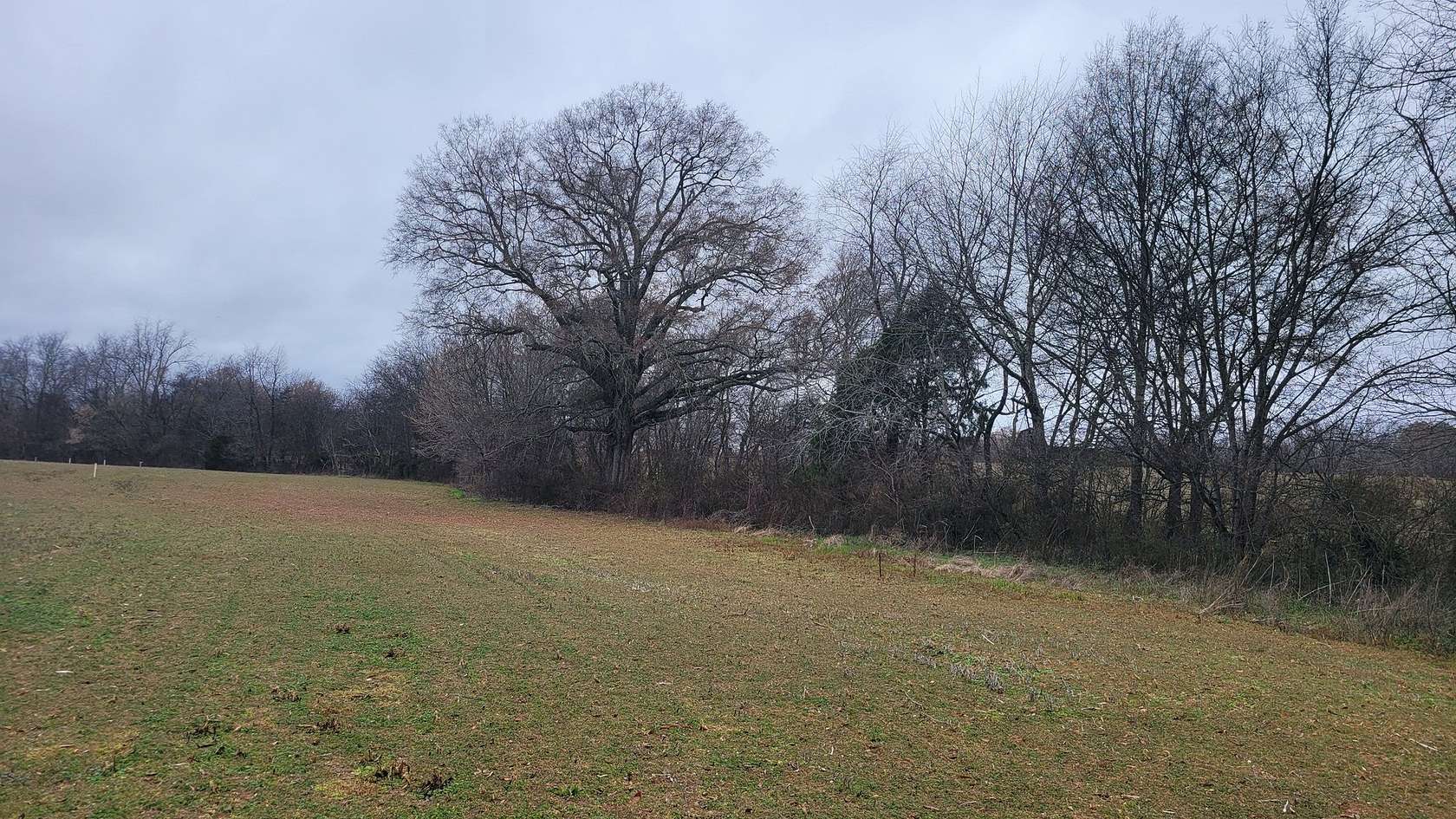 5 Acres of Residential Land for Sale in Woodbury, Tennessee