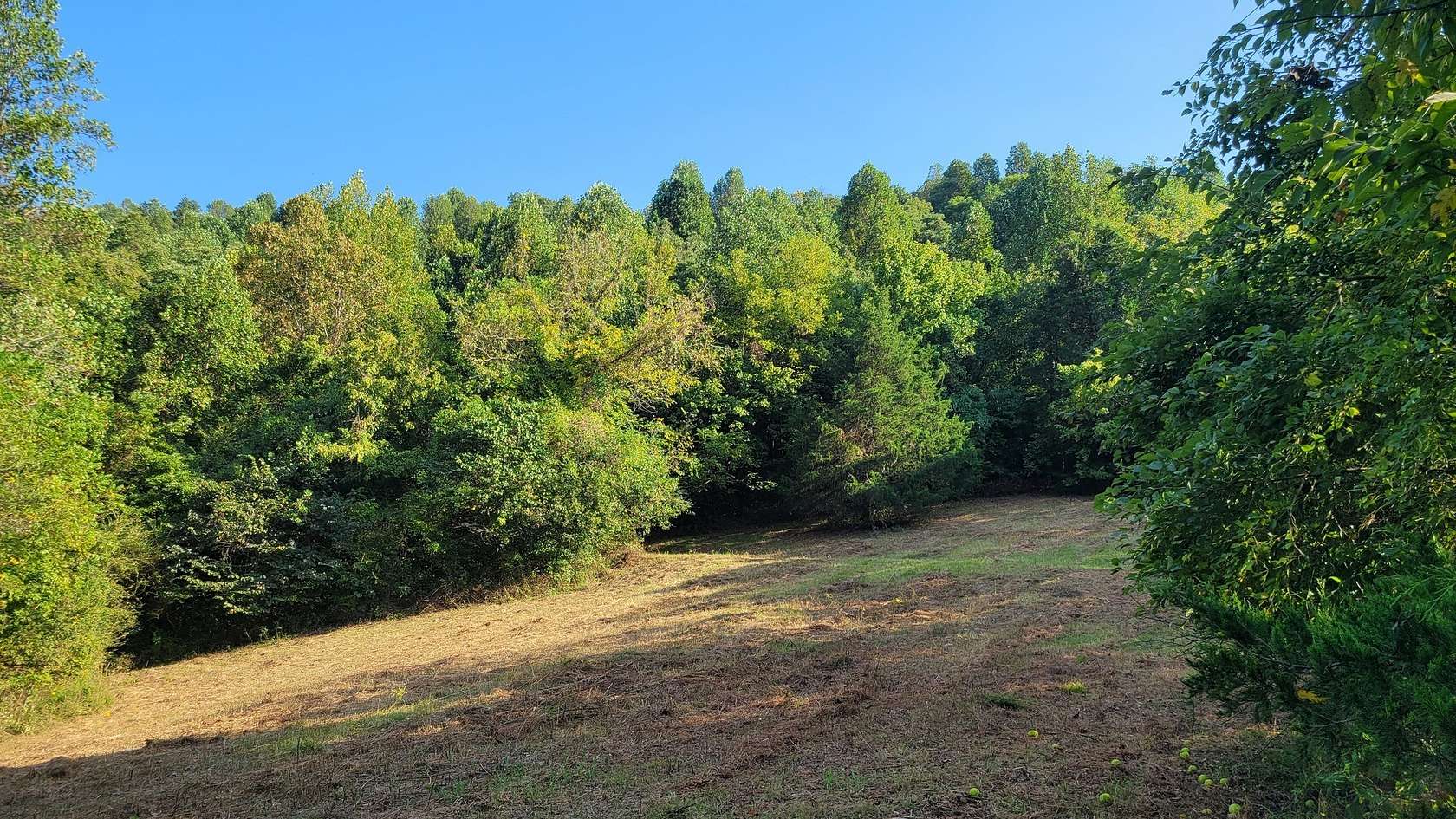 41 Acres of Land for Sale in Petersburg, Tennessee