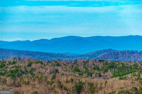 1 Acre of Residential Land for Sale in Morganton, Georgia
