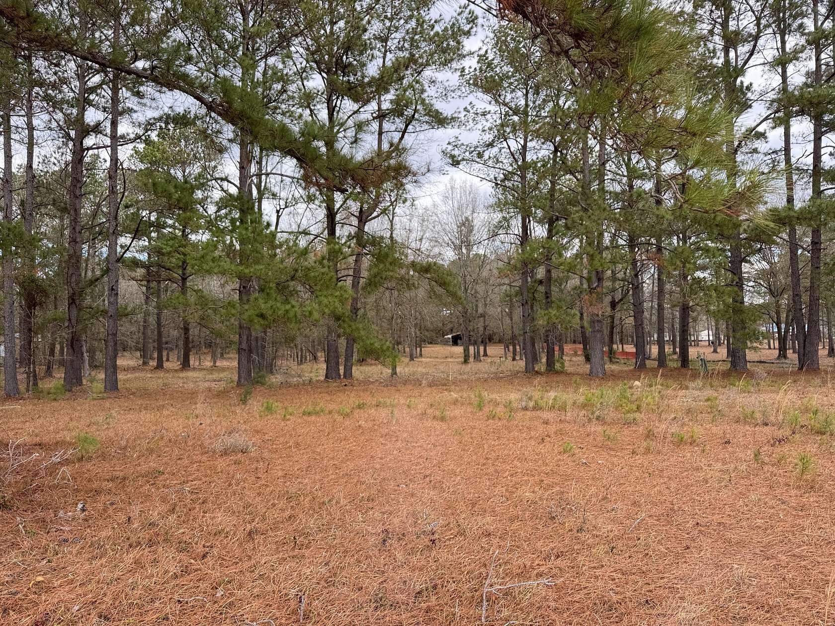 1.7 Acres of Land for Sale in Summerton, South Carolina
