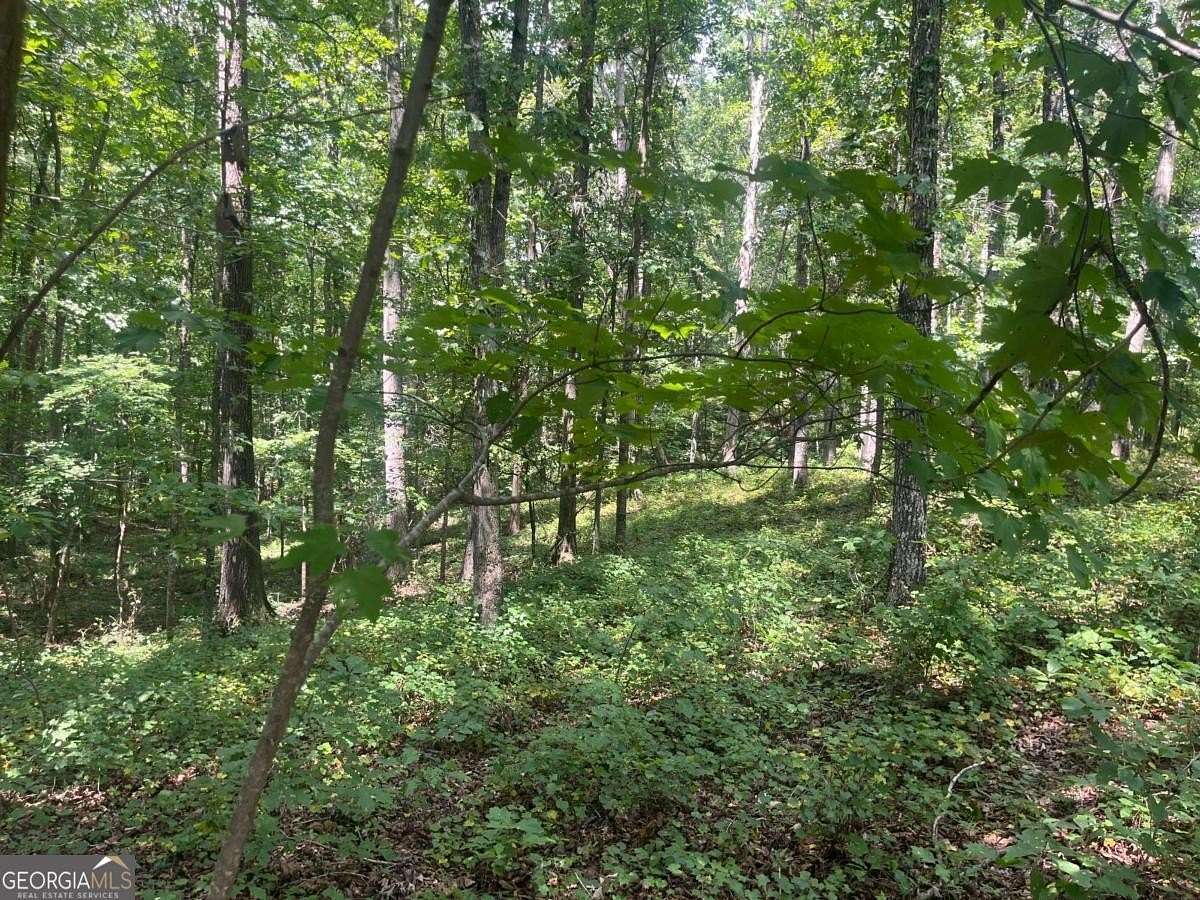 6 Acres of Residential Land for Sale in Ball Ground, Georgia