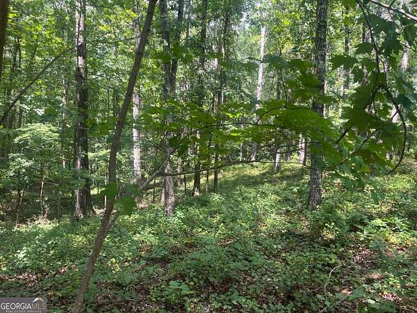 6 Acres of Residential Land for Sale in Ball Ground, Georgia