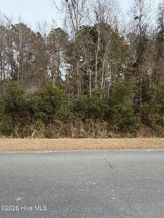 0.48 Acres of Residential Land for Sale in Newport, North Carolina