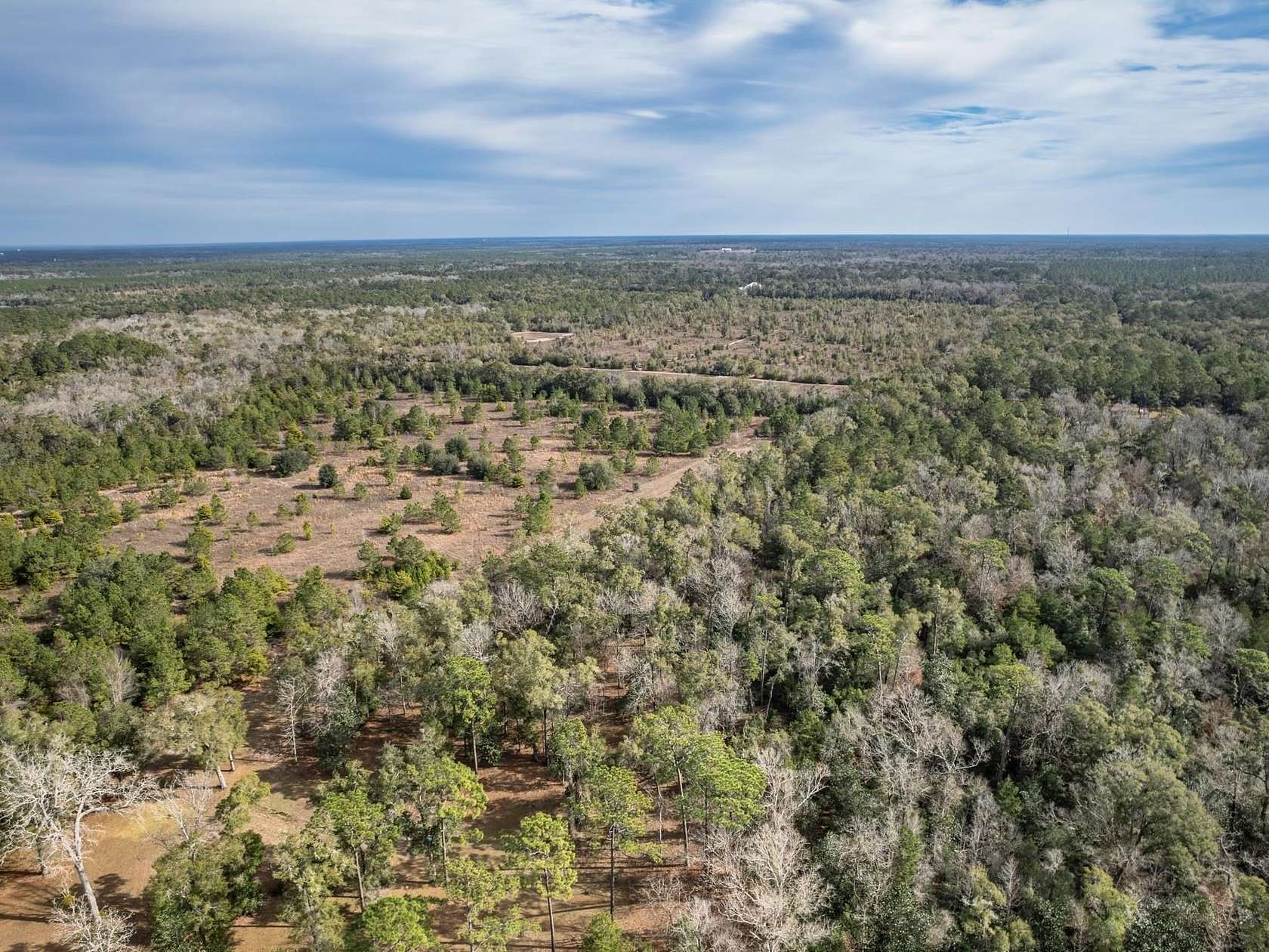 10 Acres of Land for Sale in Crawfordville, Florida