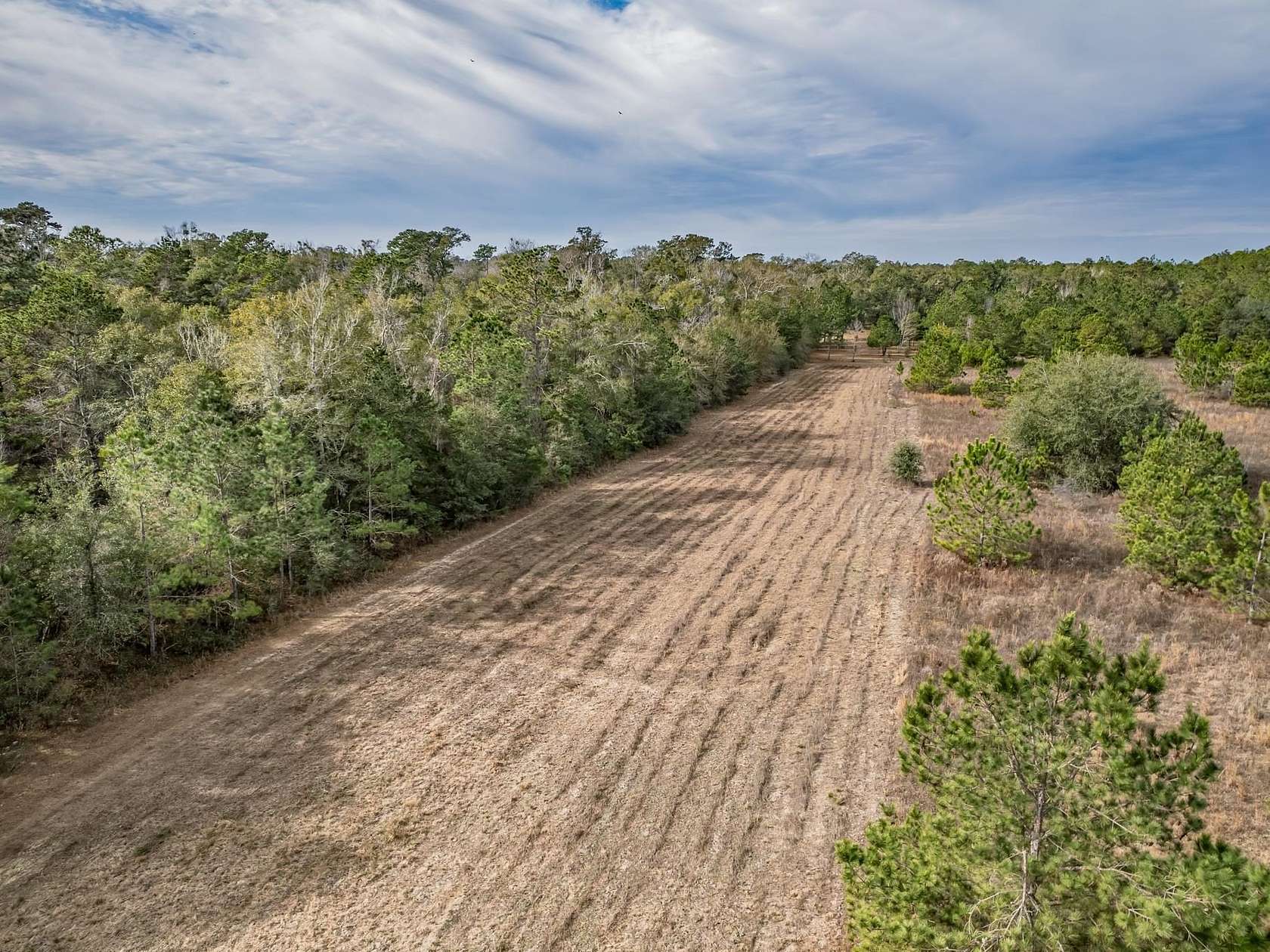 10 Acres of Residential Land for Sale in Crawfordville, Florida