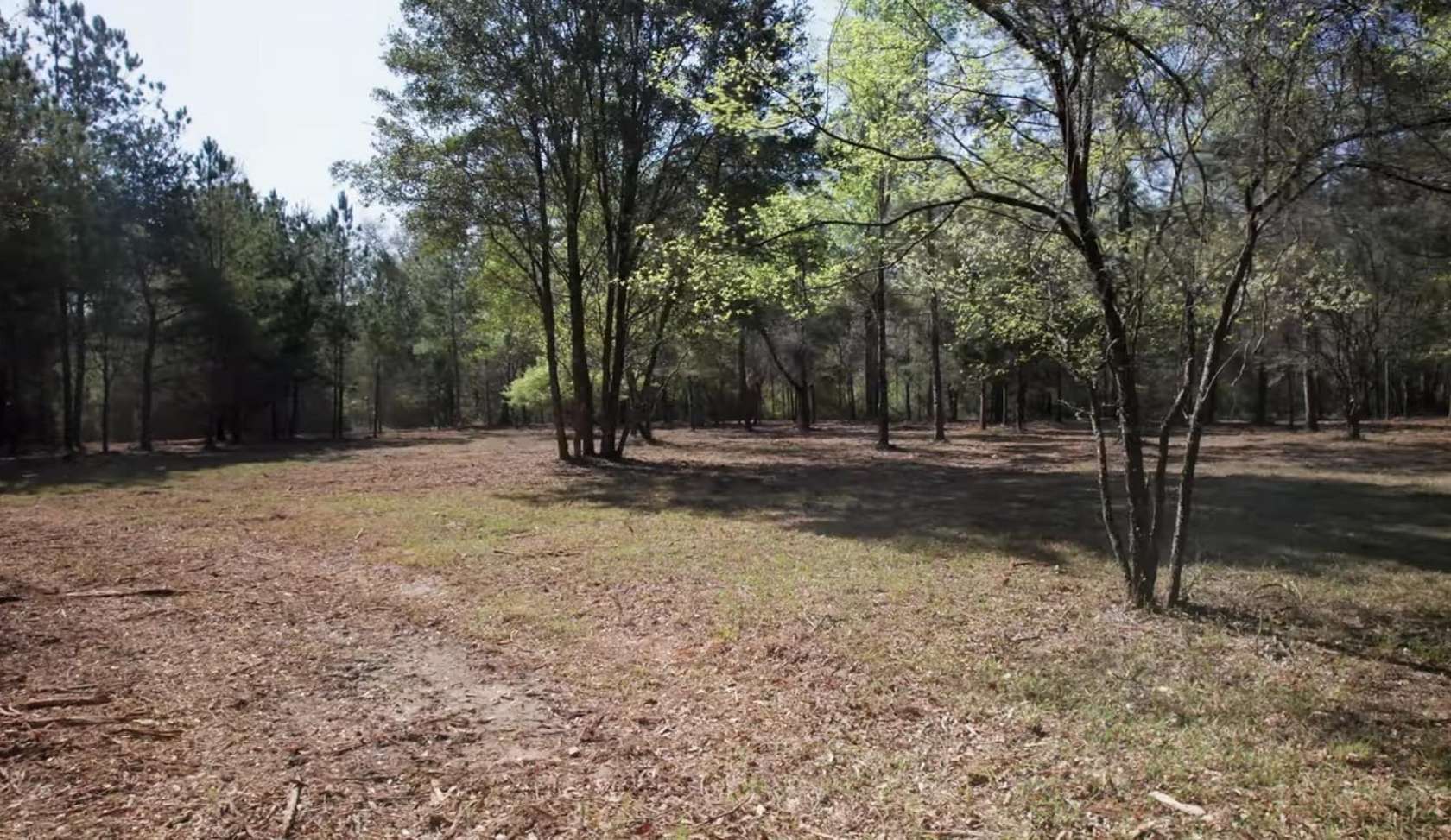 10 Acres of Residential Land for Sale in Crawfordville, Florida