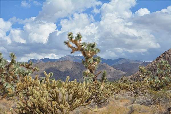 2.2 Acres of Residential Land for Sale in Yucca, Arizona