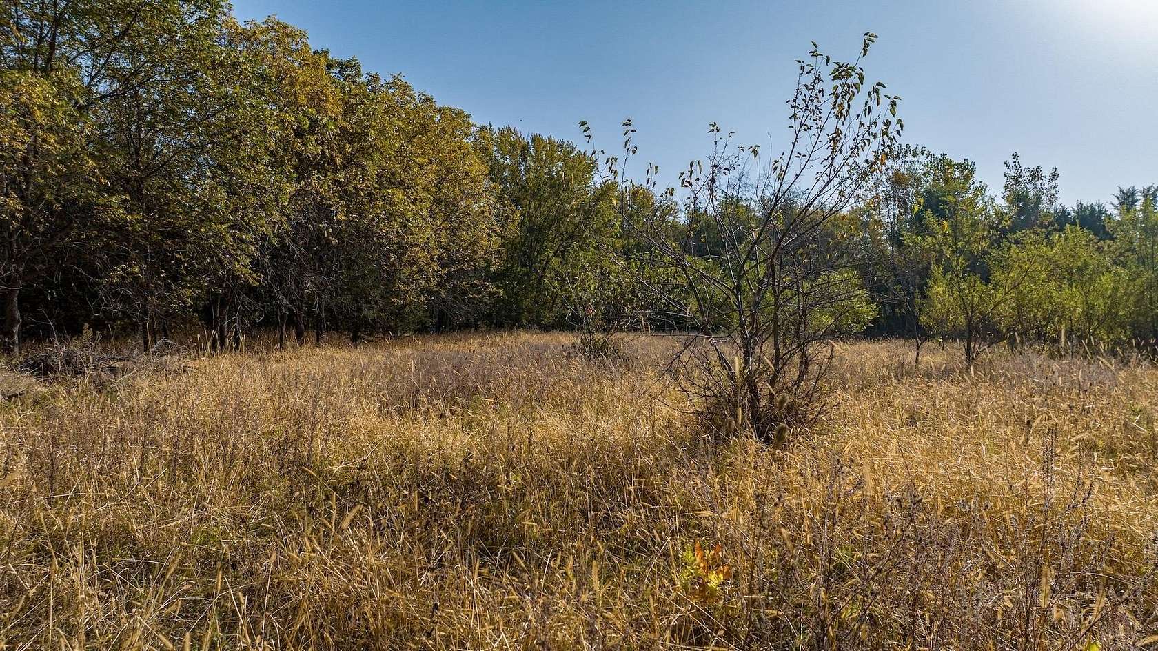 13.5 Acres of Recreational Land for Sale in Janesville, Iowa