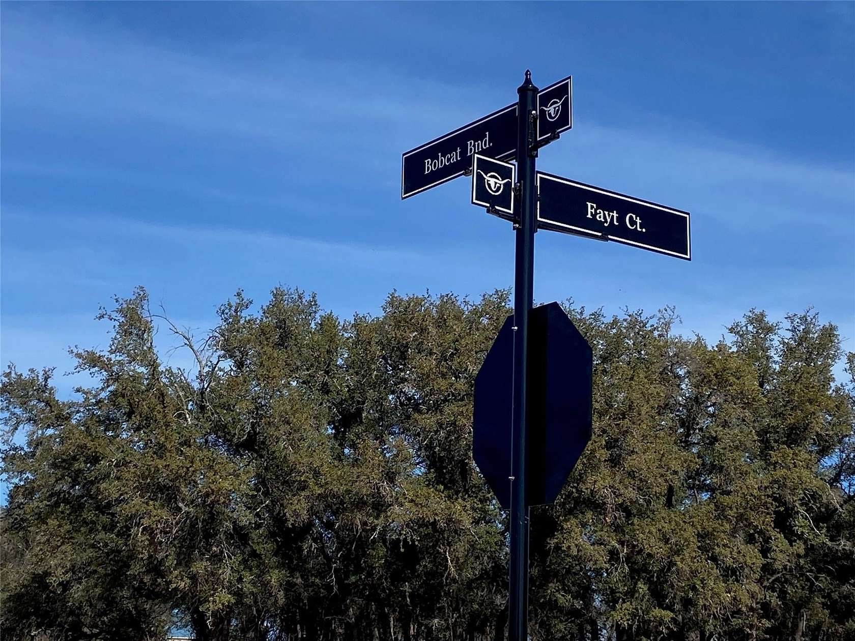 0.78 Acres of Residential Land for Sale in Georgetown, Texas