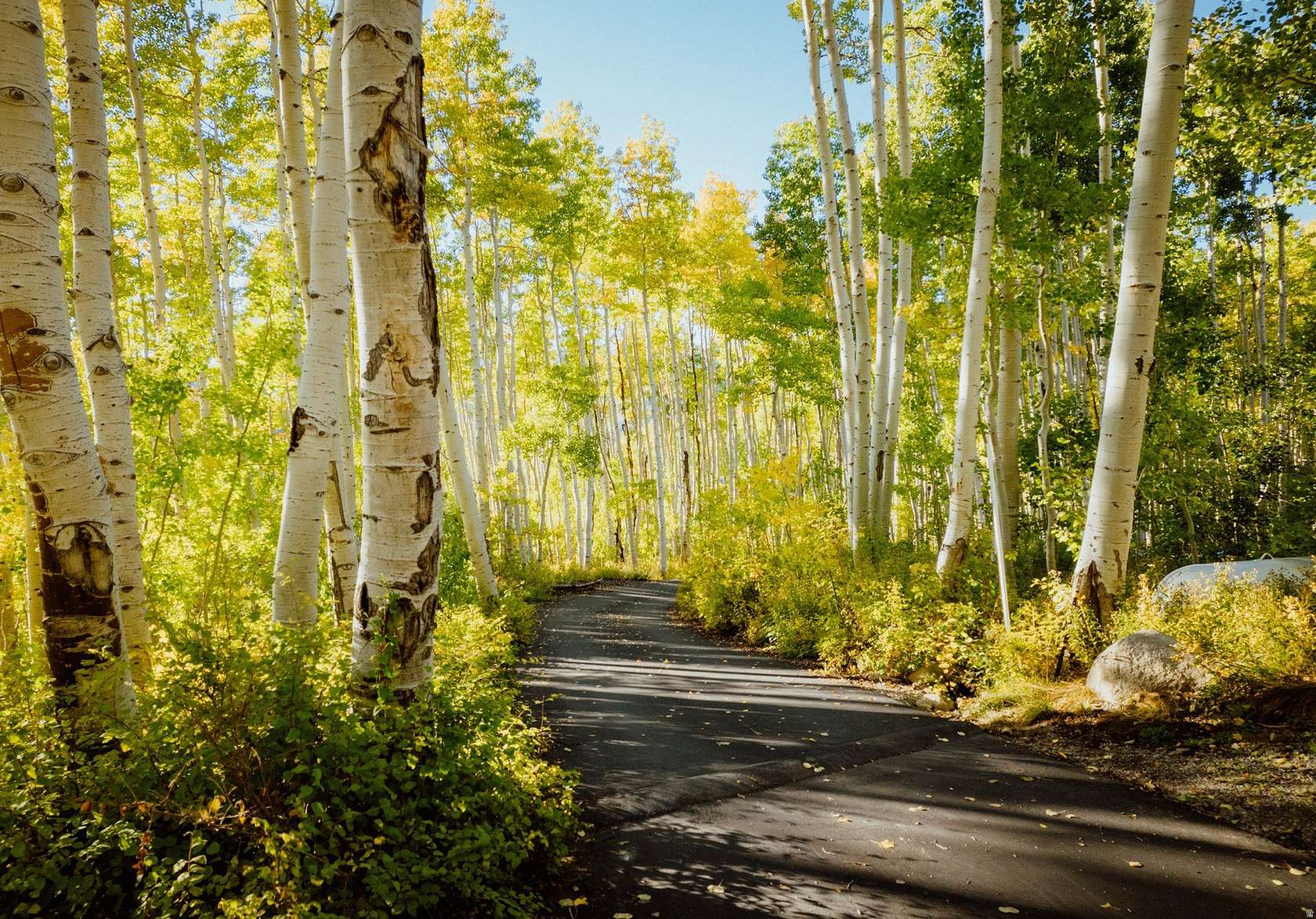 0.6 Acres of Residential Land for Sale in Salt Lake City, Utah