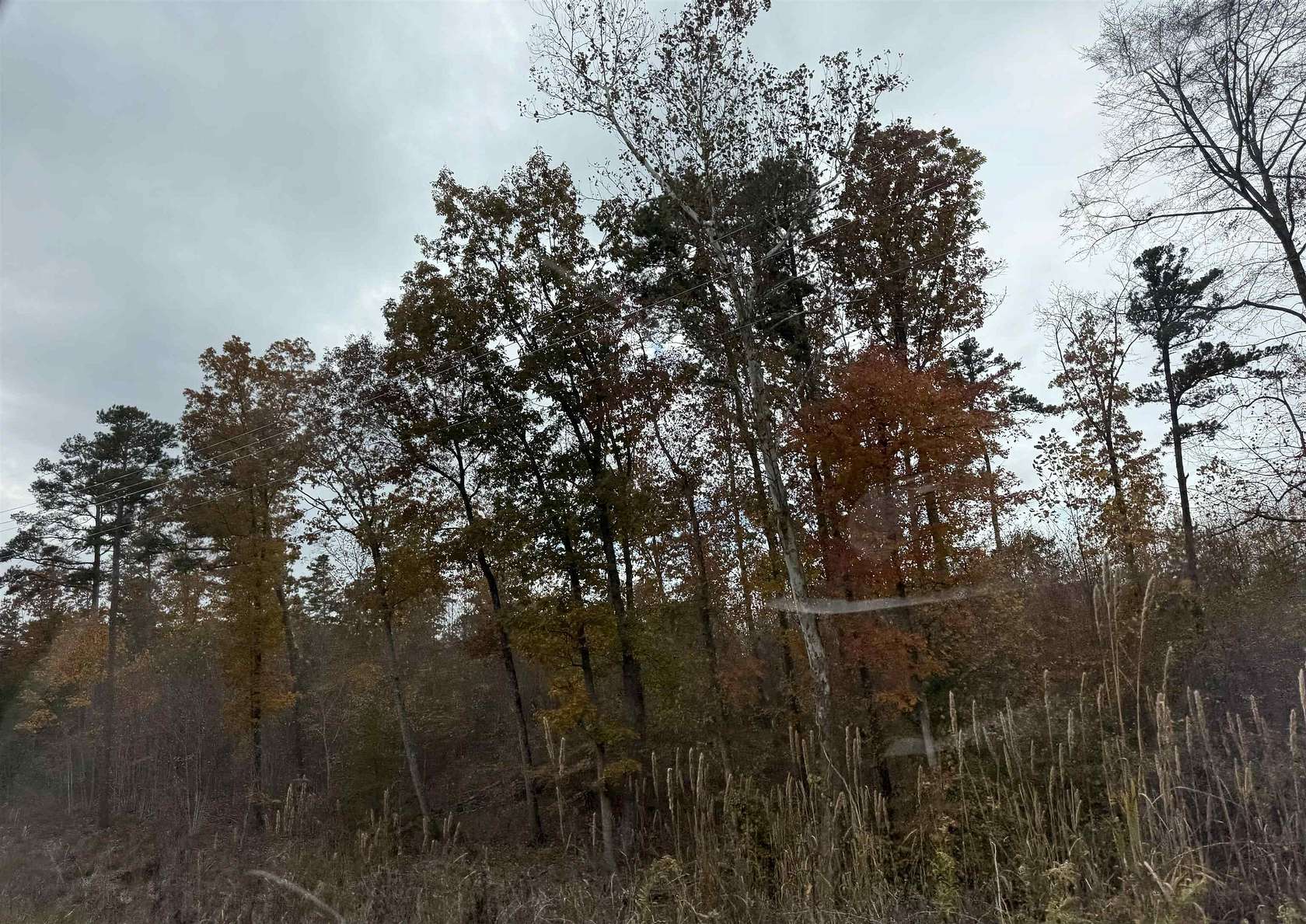 1.57 Acres of Residential Land for Sale in Russellville, Alabama