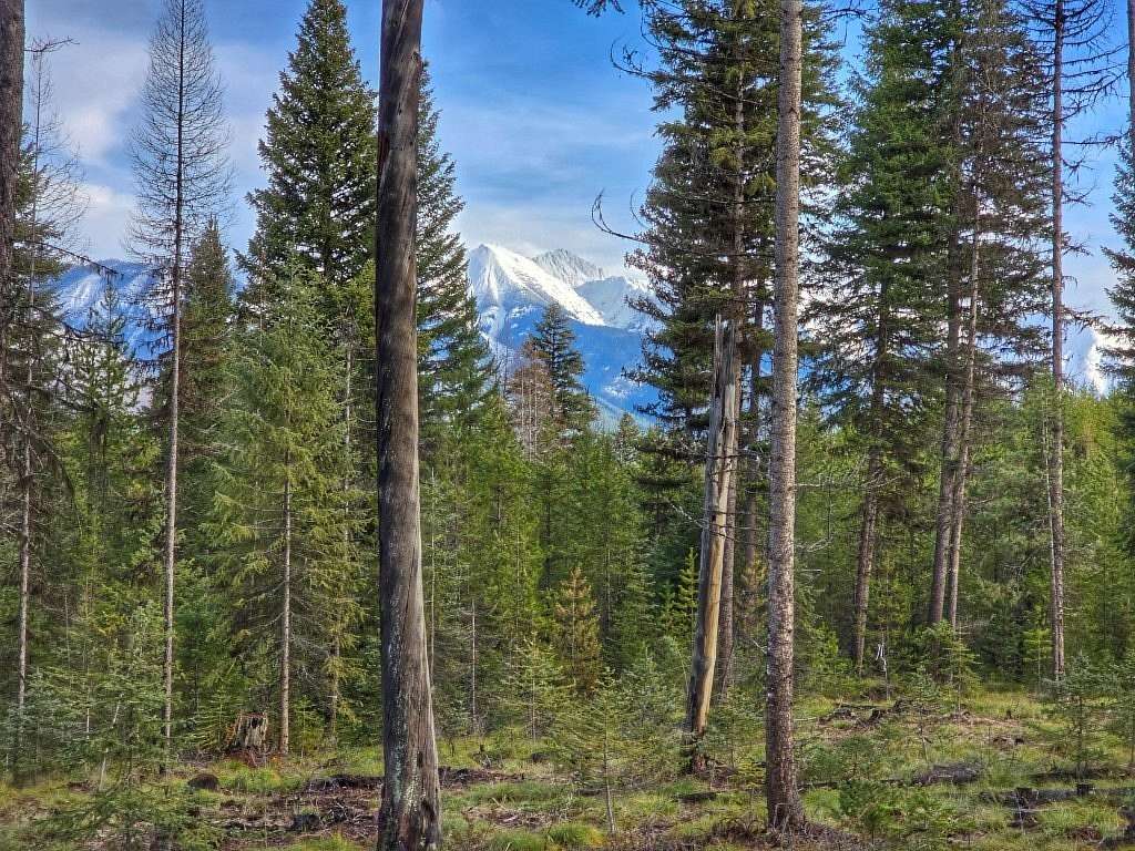 10 Acres of Recreational Land for Sale in Condon, Montana