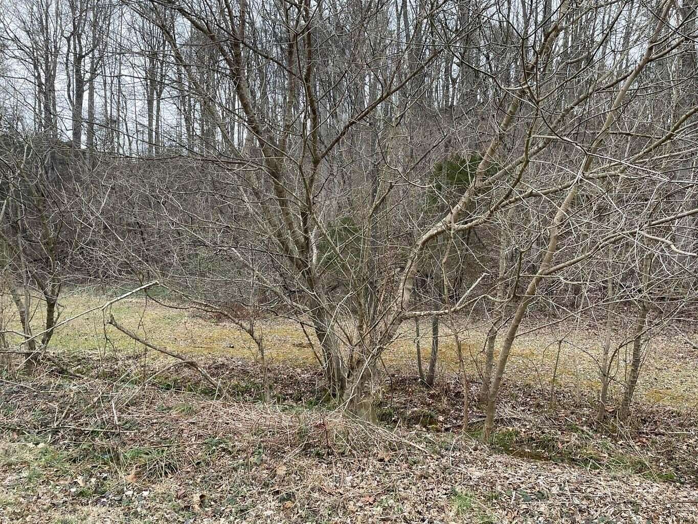 3 Acres of Residential Land for Sale in Troutville, Virginia