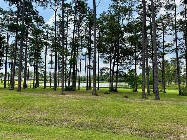 Residential Land for Sale in Abita Springs, Louisiana