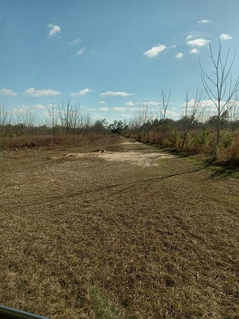 50.5 Acres of Land for Sale in Valdosta, Georgia