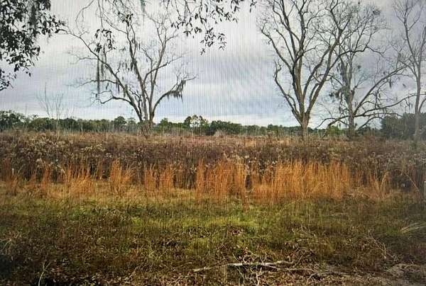 50.5 Acres of Land for Sale in Valdosta, Georgia