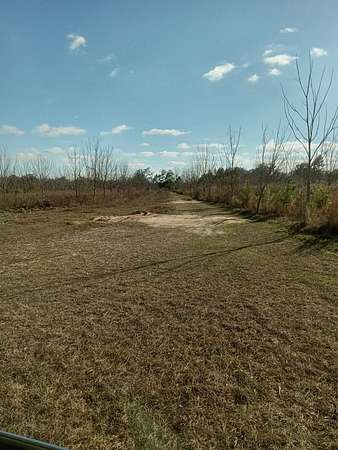 23.3 Acres of Recreational & Residential Land for Sale in Valdosta, Georgia