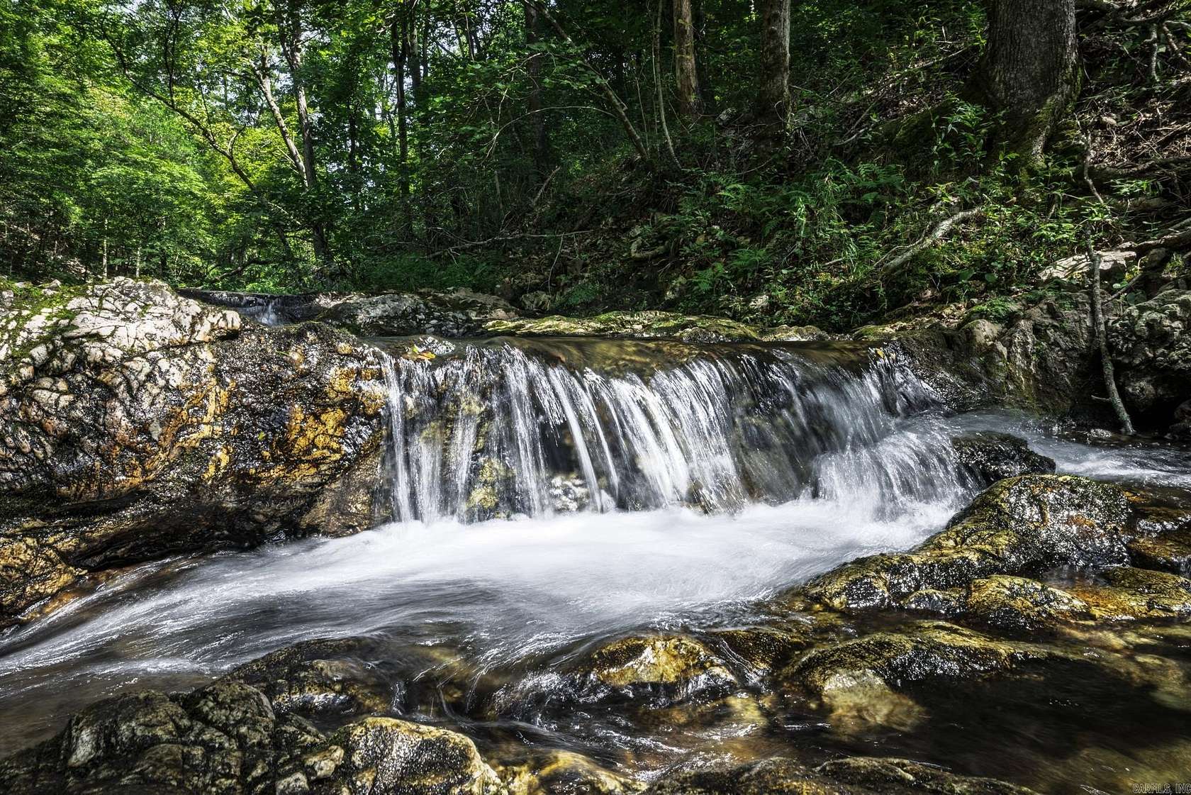 430 Acres of Recreational Land & Farm for Sale in Glenwood, Arkansas