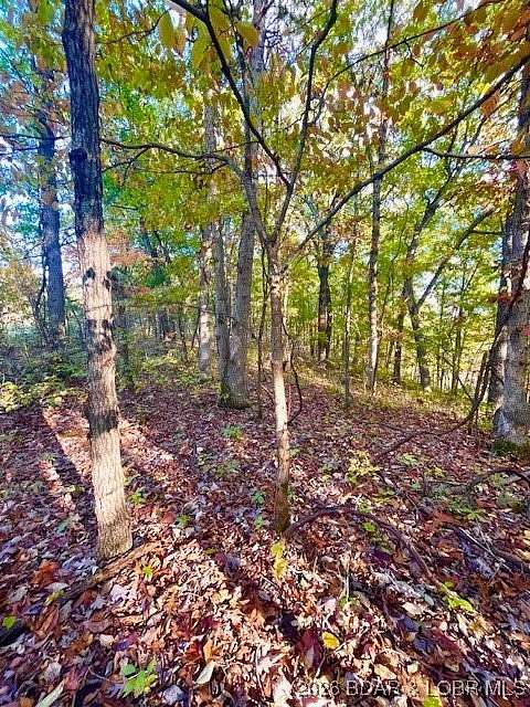 0.9 Acres of Residential Land for Sale in Barnett, Missouri