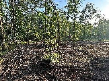 13.8 Acres of Recreational & Residential Land for Sale in Broaddus, Texas