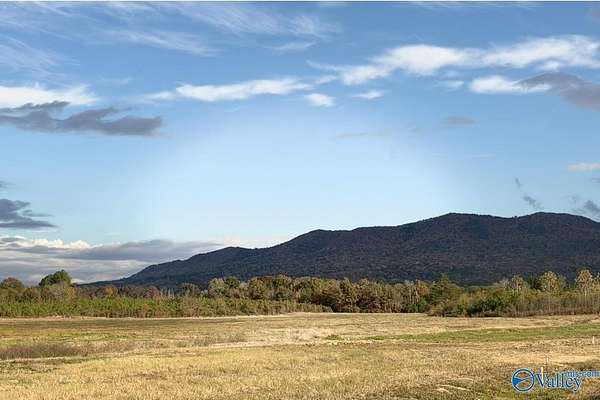 3.52 Acres of Residential Land for Sale in Piedmont, Alabama