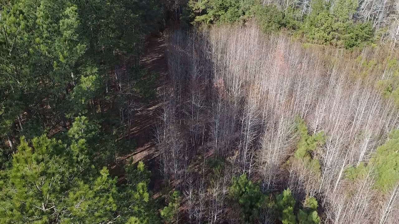 48.4 Acres of Recreational Land for Sale in Greeleyville, South Carolina