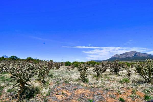 10 Acres of Residential Land for Sale in Edgewood, New Mexico