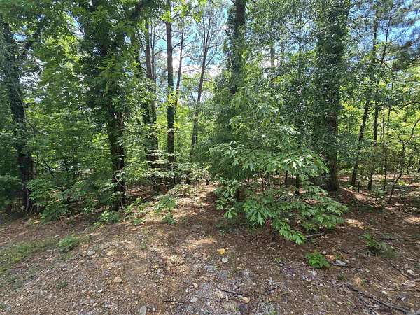0.46 Acres of Residential Land for Sale in Hot Springs, Arkansas