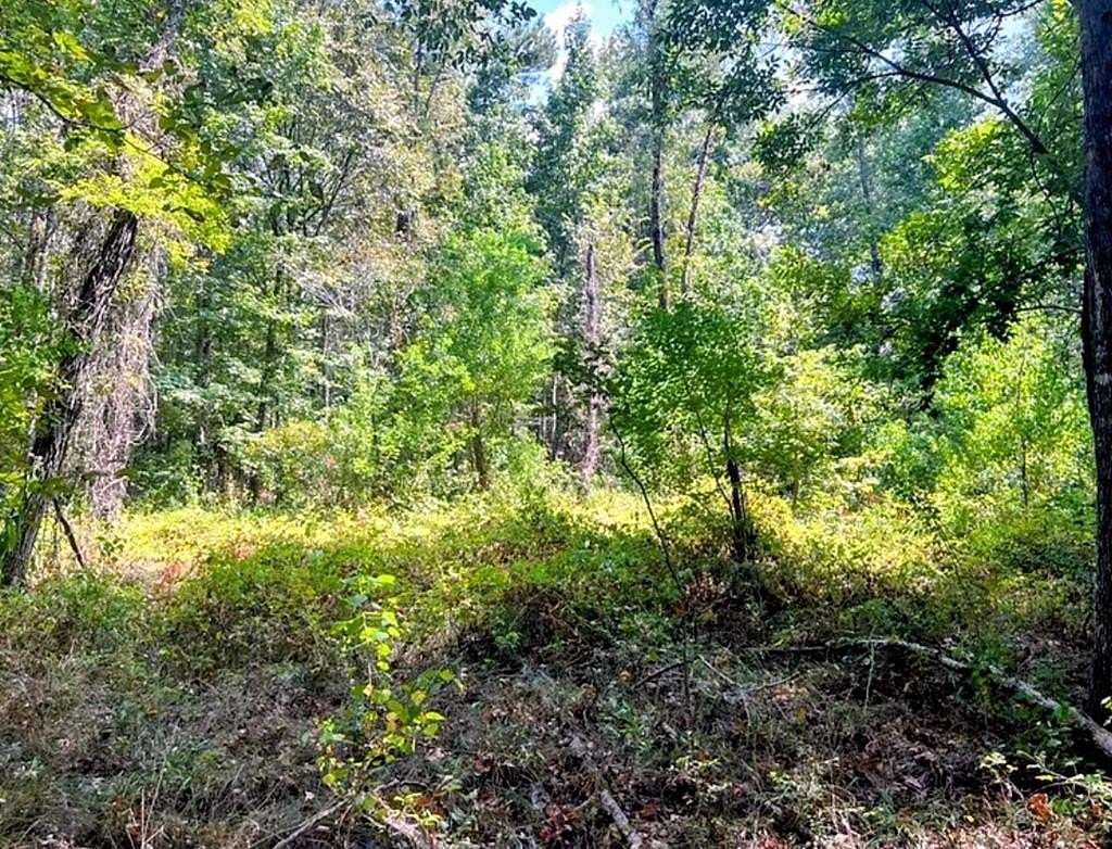 6.18 Acres of Residential Land for Sale in Elkhart, Texas