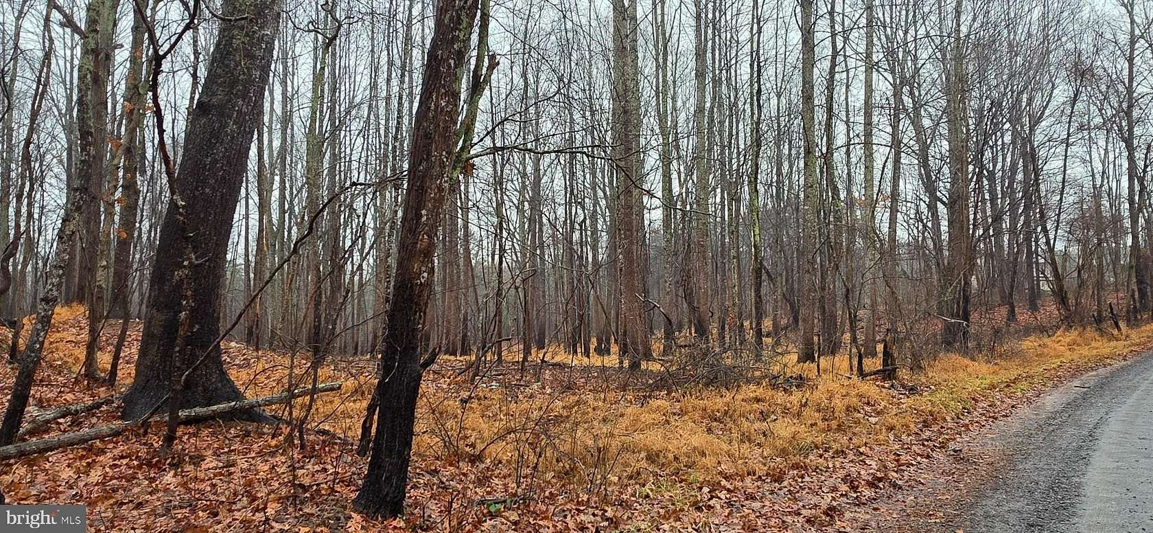 4.47 Acres of Residential Land for Sale in Boston, Virginia