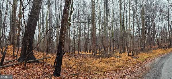 4.47 Acres of Residential Land for Sale in Boston, Virginia