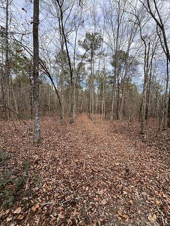 5 Acres of Residential Land for Sale in Aiken, South Carolina