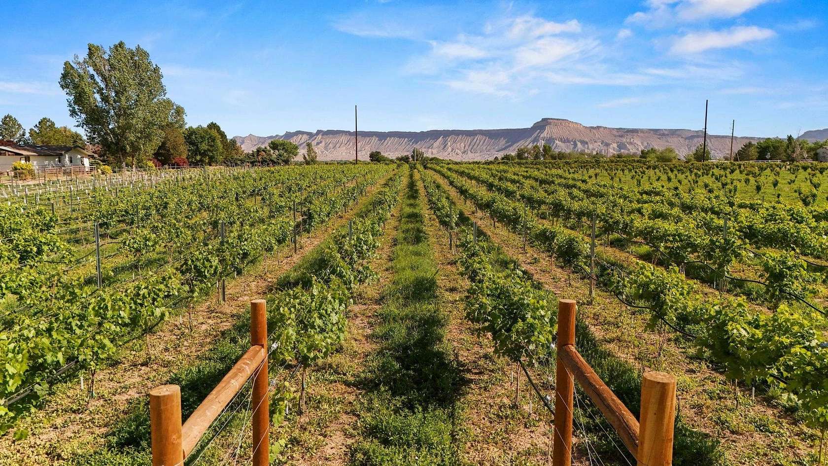 4 Acres of Residential Land for Sale in Palisade, Colorado