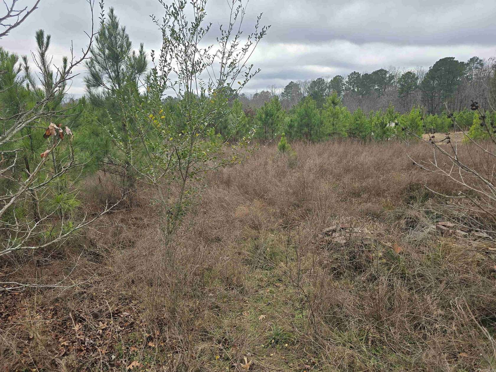 0.4 Acres of Residential Land for Sale in Hot Springs, Arkansas