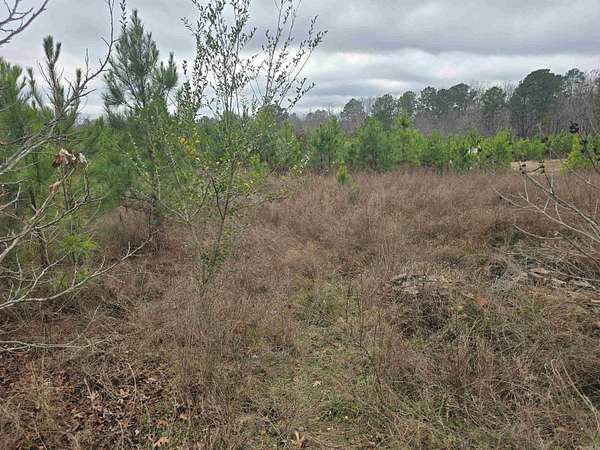 0.4 Acres of Residential Land for Sale in Hot Springs, Arkansas