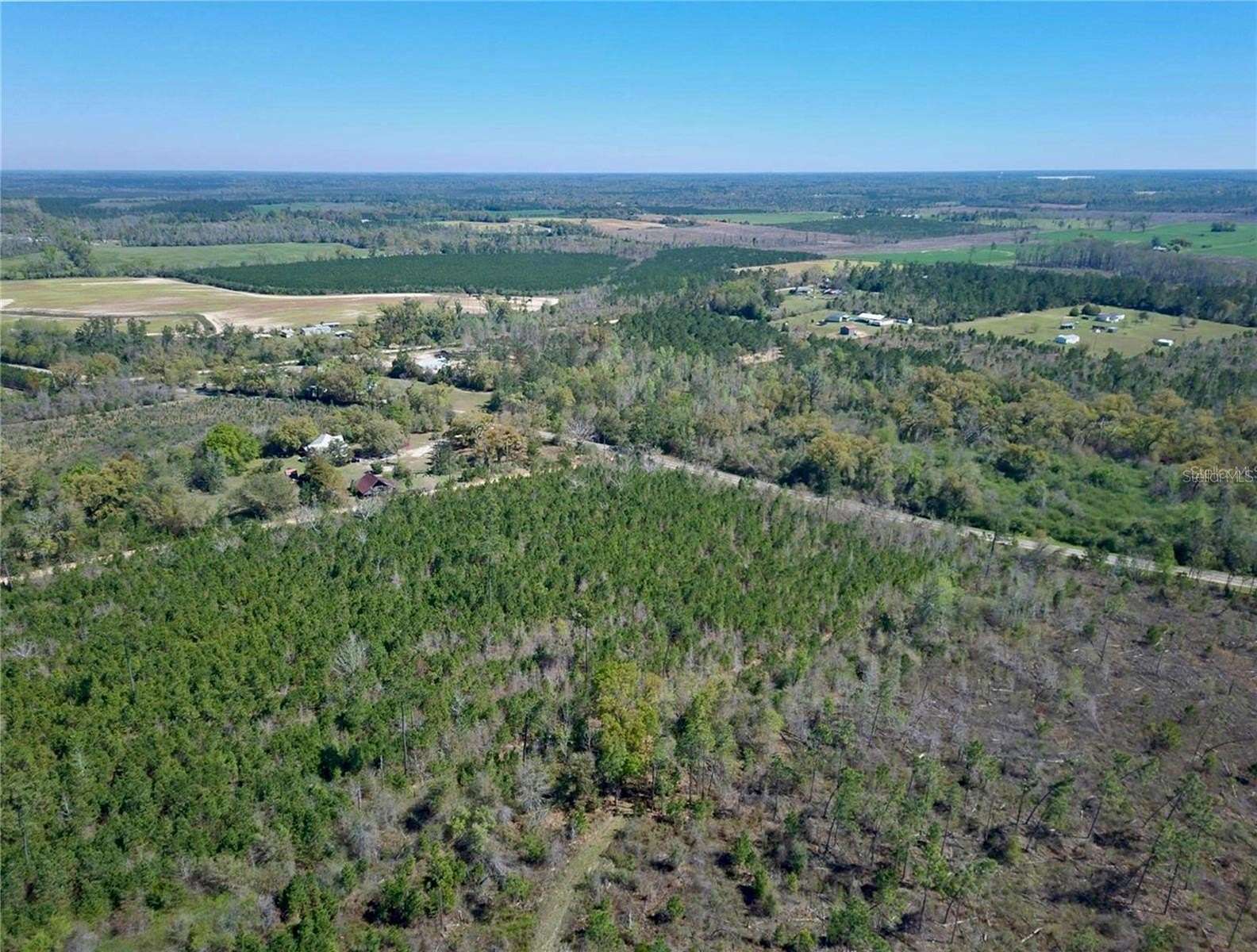 16.5 Acres of Recreational & Residential Land for Sale in Cottondale, Florida