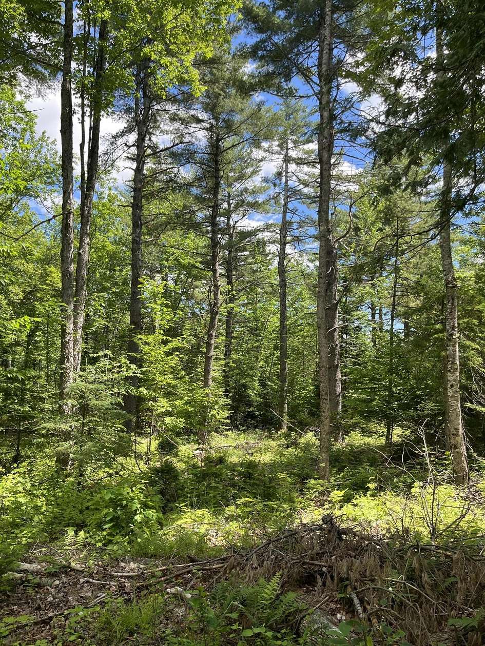 129 Acres of Recreational Land for Sale in Etna, Maine