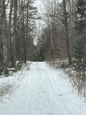 129 Acres of Recreational Land for Sale in Etna, Maine