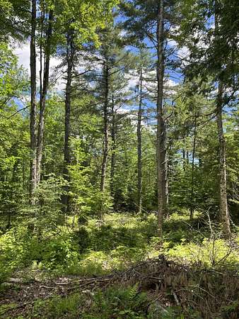 129 Acres of Recreational Land for Sale in Etna, Maine