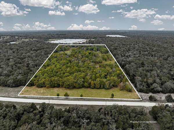 15 Acres of Recreational Land & Farm for Sale in Kosse, Texas